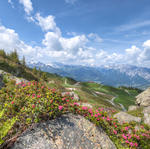 Austria Landscape HDR 09809