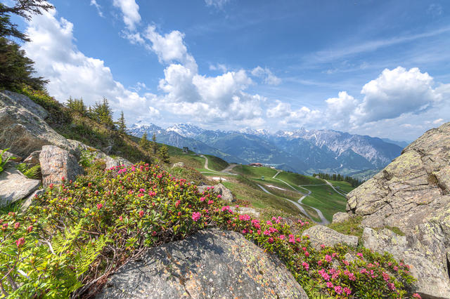 Austria Landscape HDR 09809